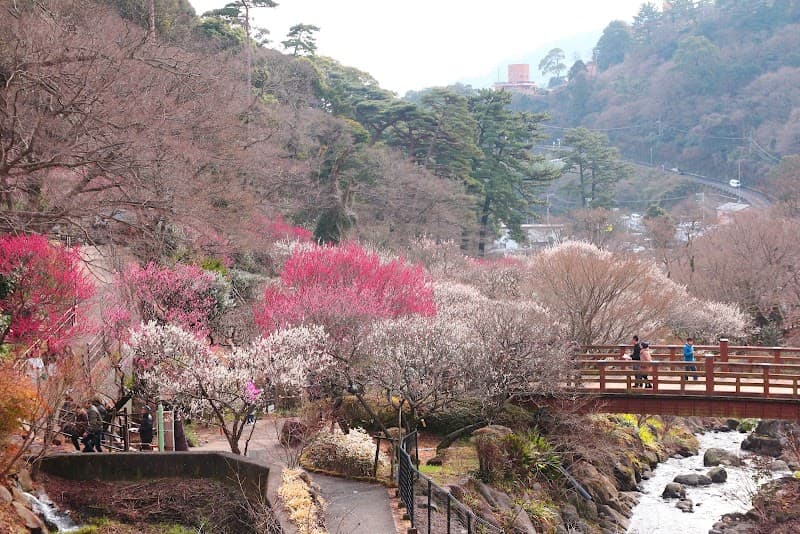 Atami Plum Garden Foot Bath photo
