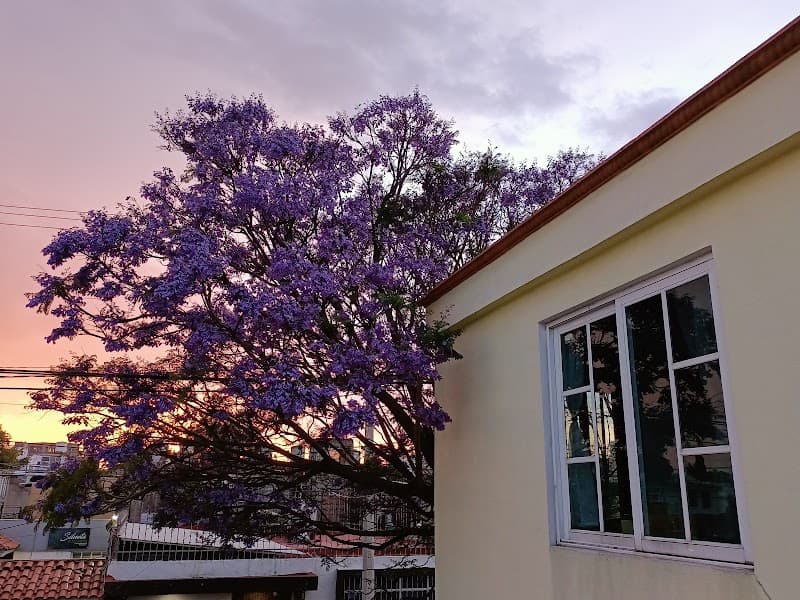 Auriculoterapia para control de peso y Masaje Terapeutico Toluca de Lerdo photo