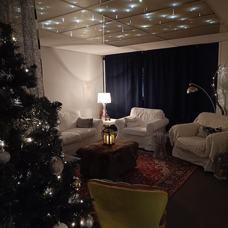 Aurora Spa Inari photo