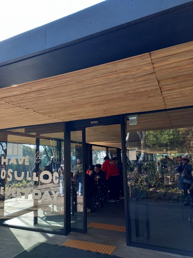 Authentic Thai Skin Care Jeju City photo