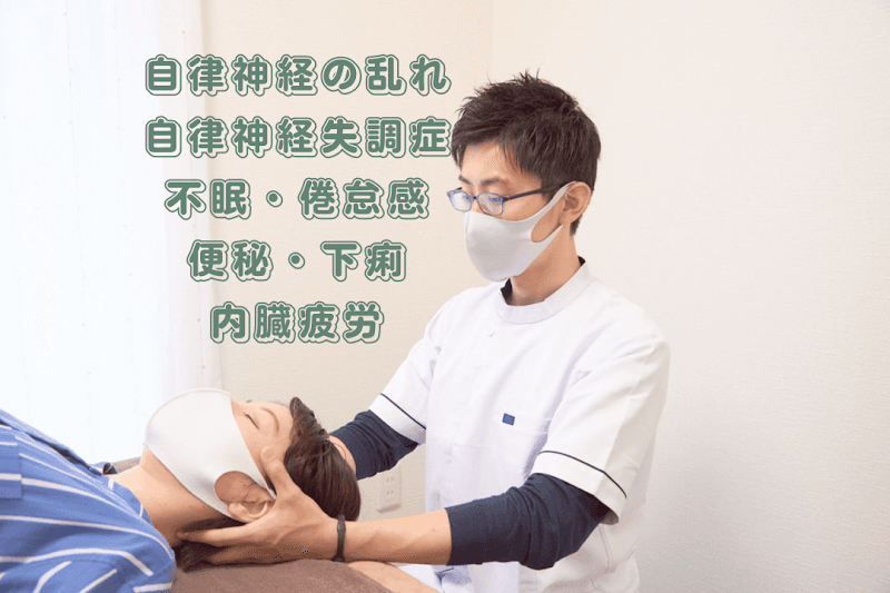 Autonomic Nervous System Specialist Taoyaka Chiropractic Clinic Yao City photo