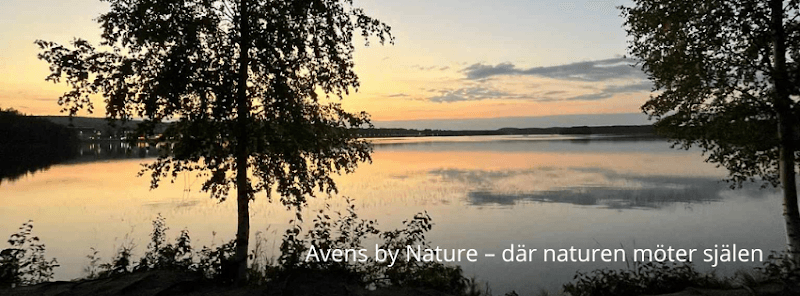 Avens by Lapland Västerås photo