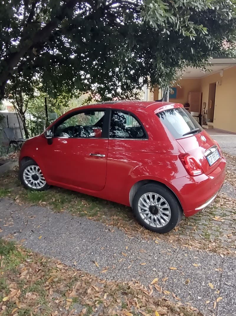 Avis Venezia photo