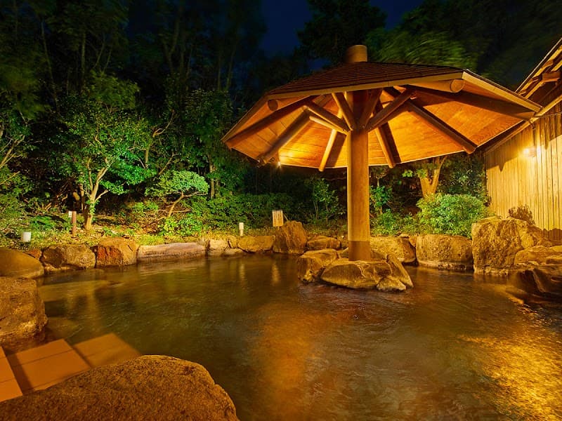 Awara Onsen Seiunkaku Awara City photo