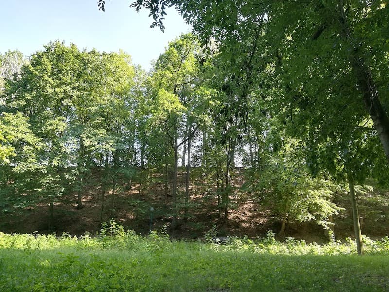 AWS Aroma Wellness Schönheitsstudio Bad Lausick photo