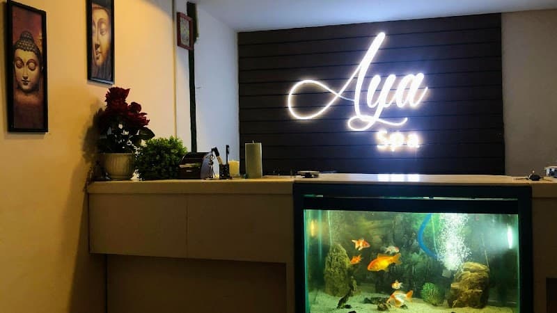 Aya Spa Jorpati photo