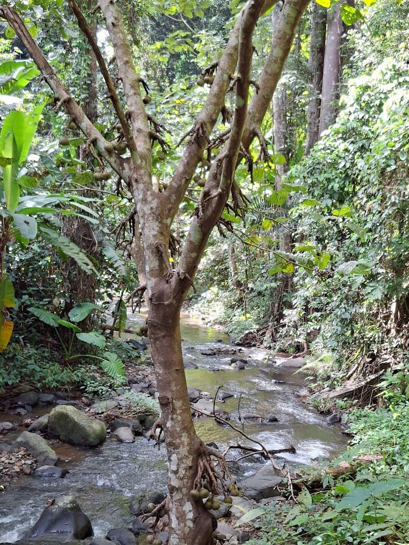 Aytanik Phetchabun Main Branch Next to Big C (Khun Gik) photo
