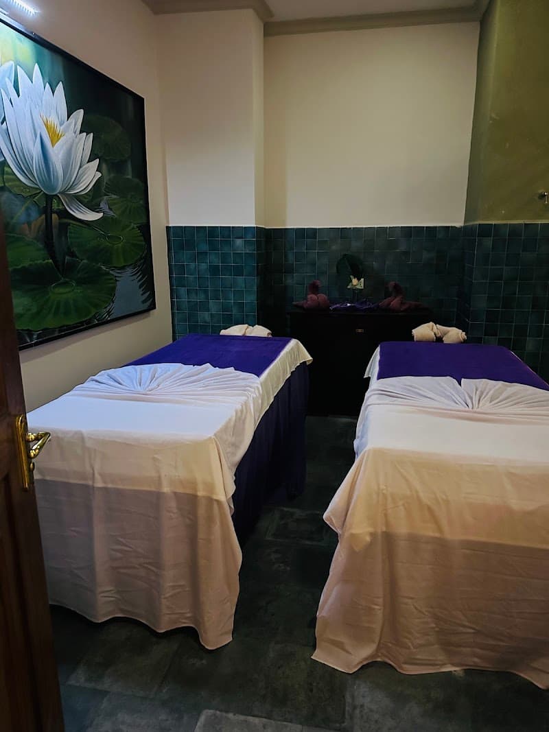 Ayu Spa Nattarampotha photo