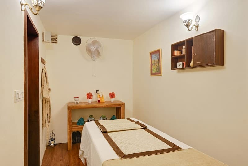 Ayur Spa Ved Udaipur photo