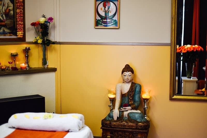 Ayurveda Kliniek Rotterdam photo