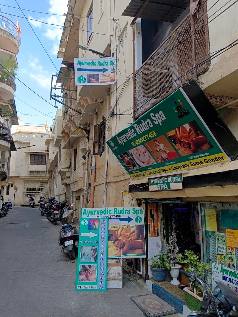 Ayurvedic Rudra Spa Udaipur photo