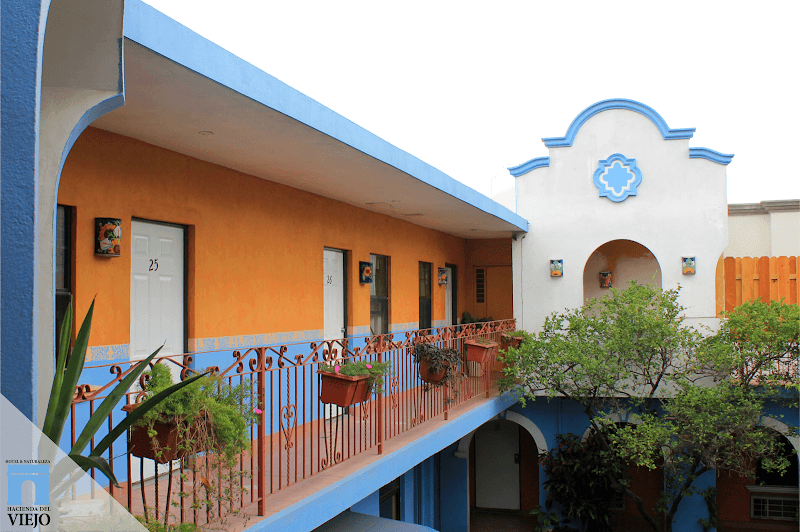 B&B Matamoros photo