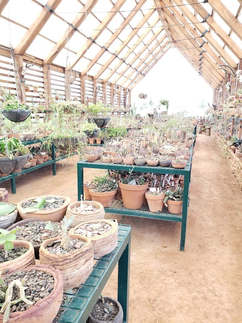 Babylonstoren Garden Spa Cape Winelands District Municipality photo