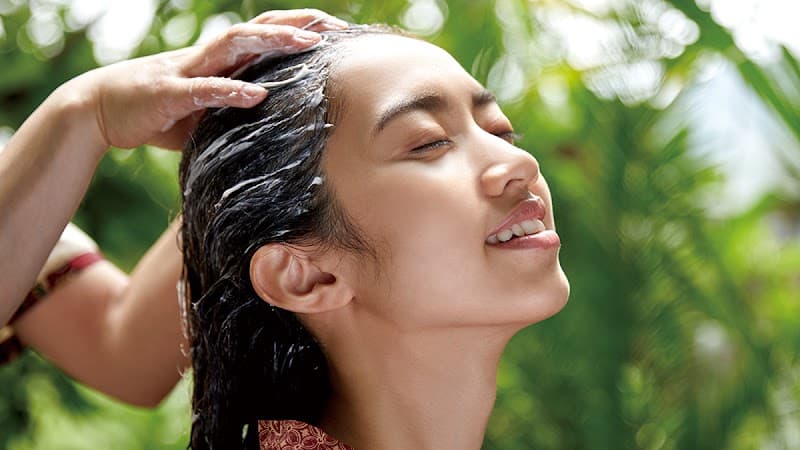 Badanbaru Hibiya Chanter-ten Chiyoda City photo