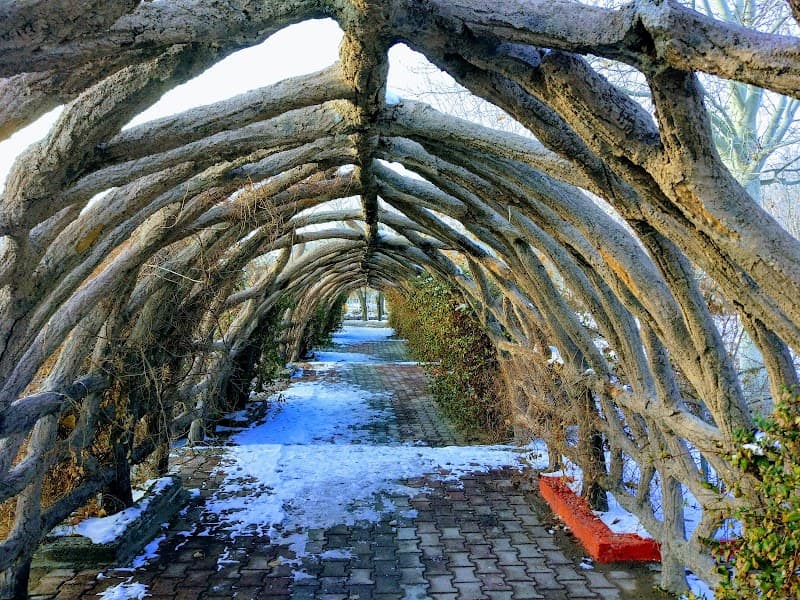 Baghmisheh Forest Park Tabriz photo