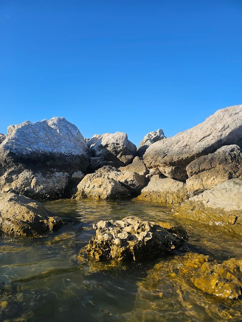 Bagni Playa Tamarindo di Viserba N. 29-33 Rimini photo