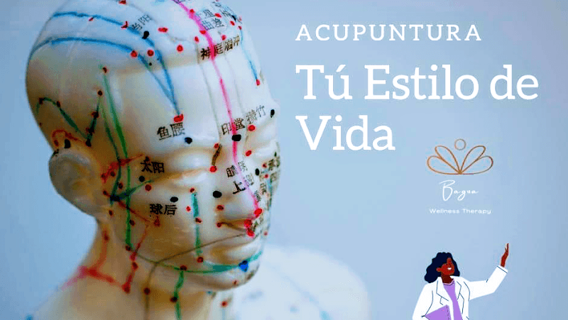 Bagua Wellness Therapy Valle de Bravo photo