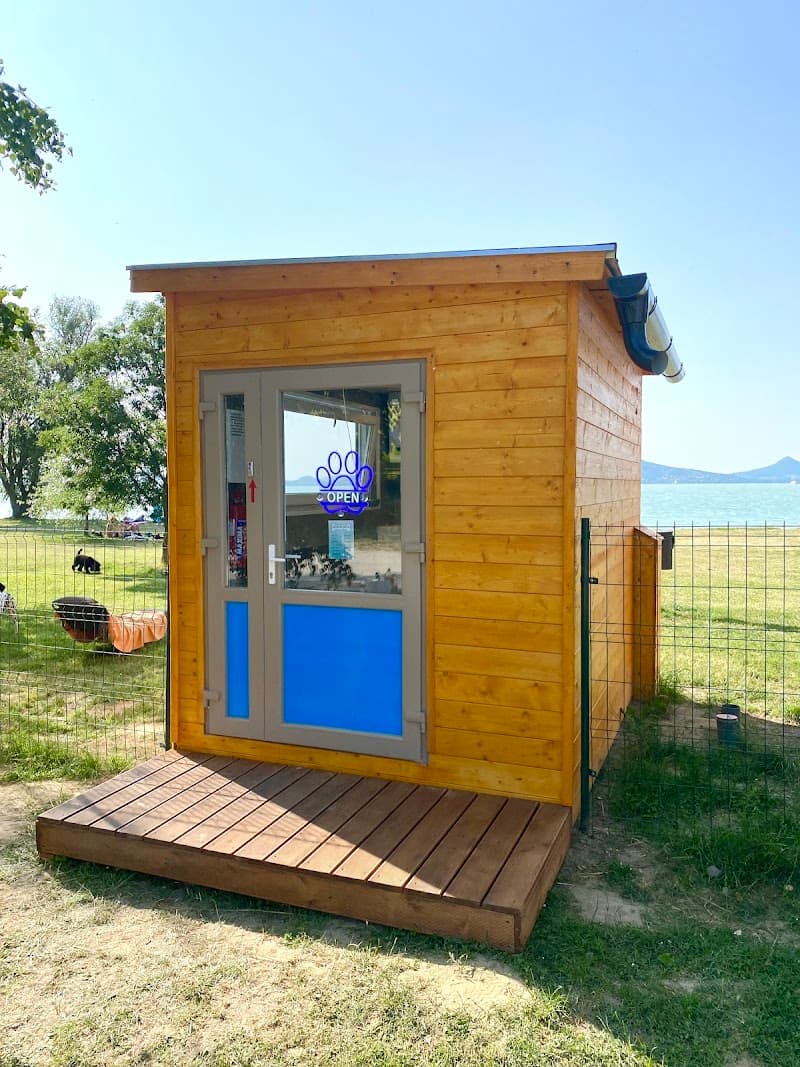 Baladog Önkiszolgaló Kutyamosó Fonyód photo