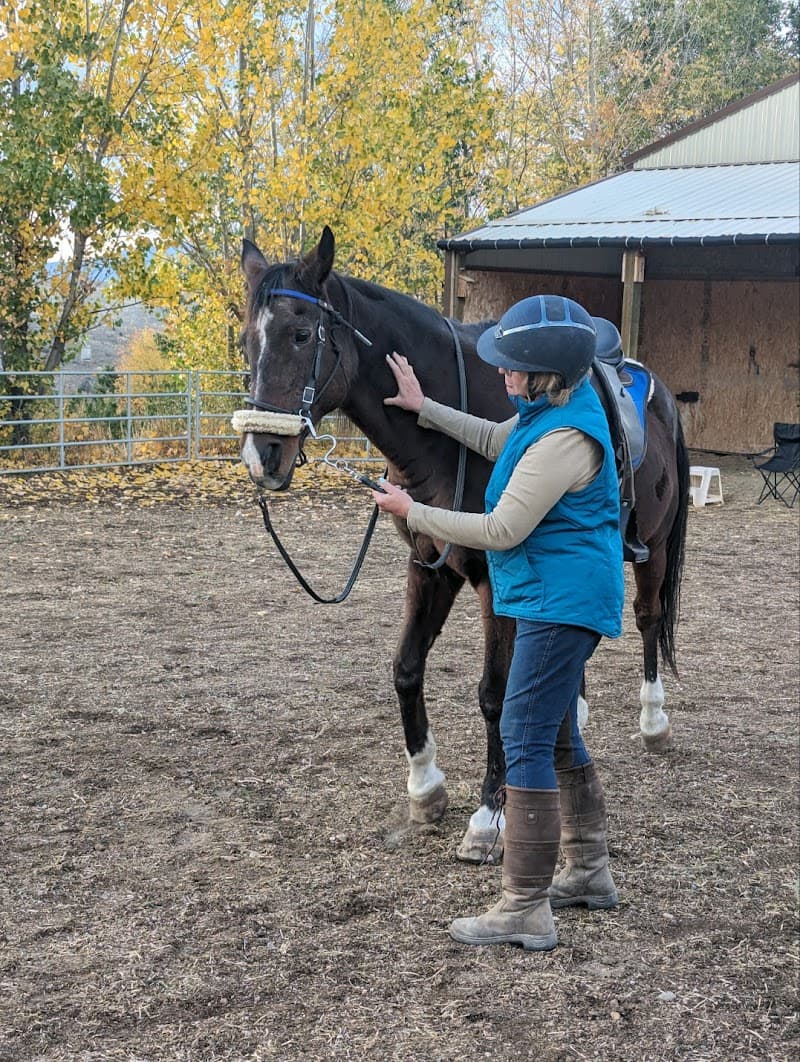 Balanced Equine Sports LLC Sheridan photo