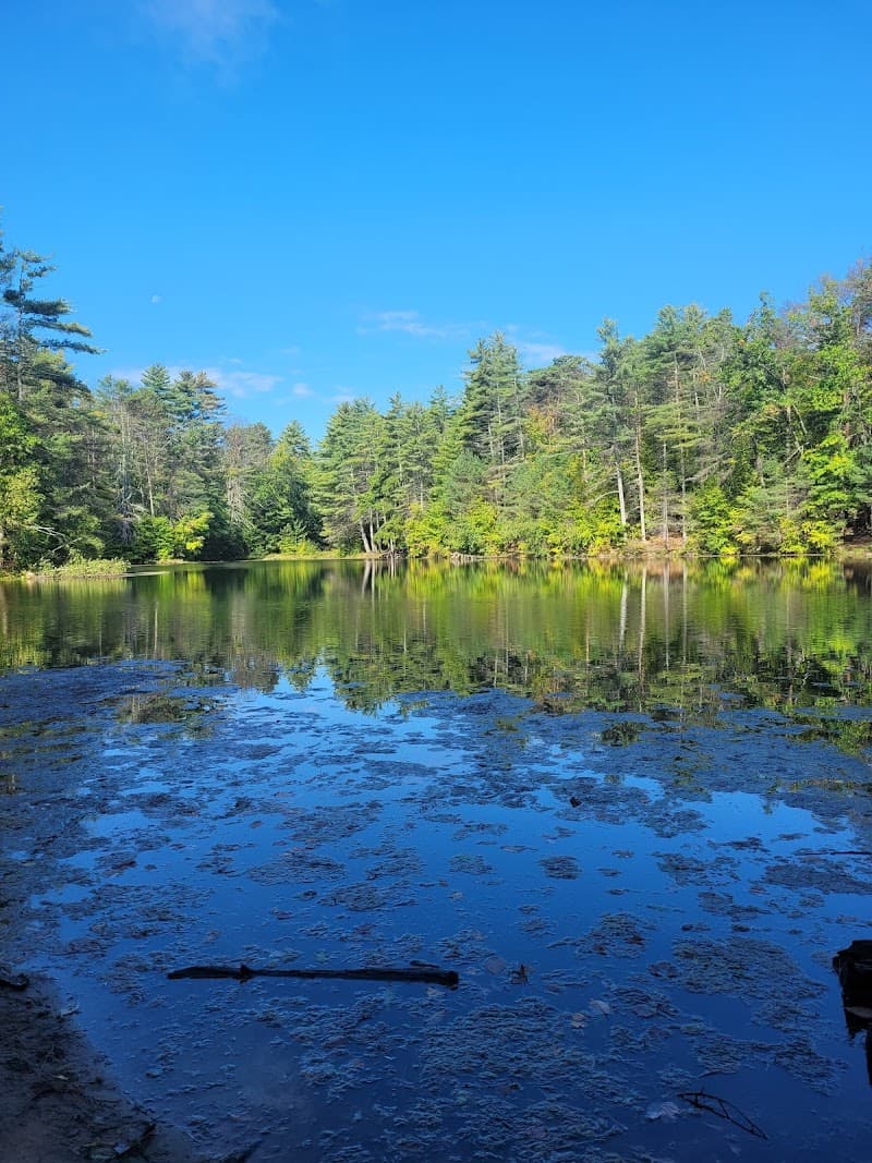 Ballston Spa Reservoir photo