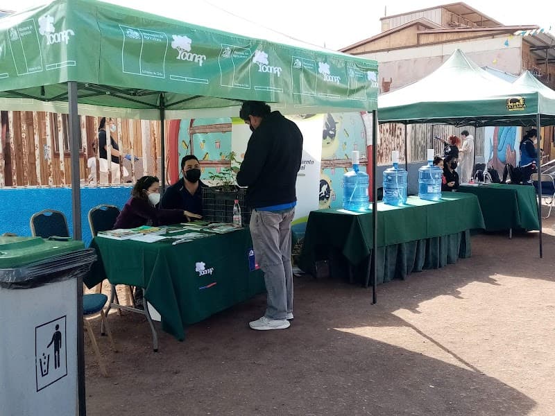 Balneario Chanavayita Iquique photo