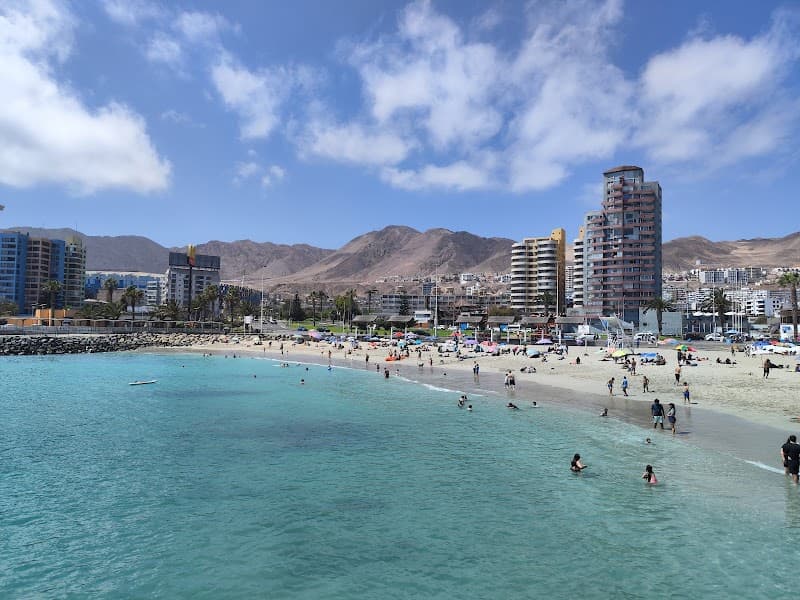 Balneario de Antofagasta photo