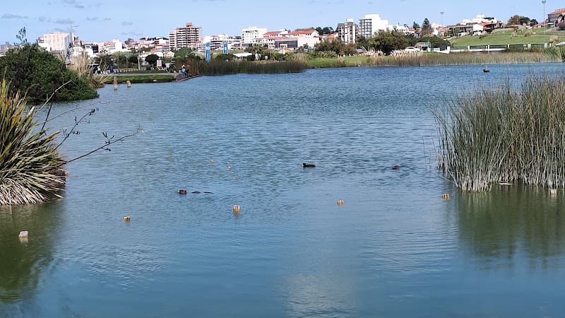 Balneario Ibiza Mar del Plata photo