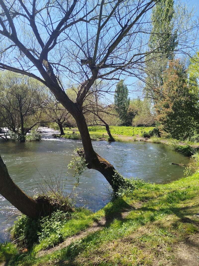 Balneario La Higuera, Quilaco photo