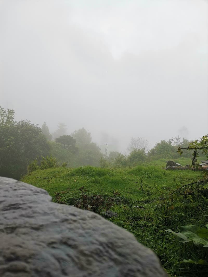 Balneario la Rivera Gachetá photo