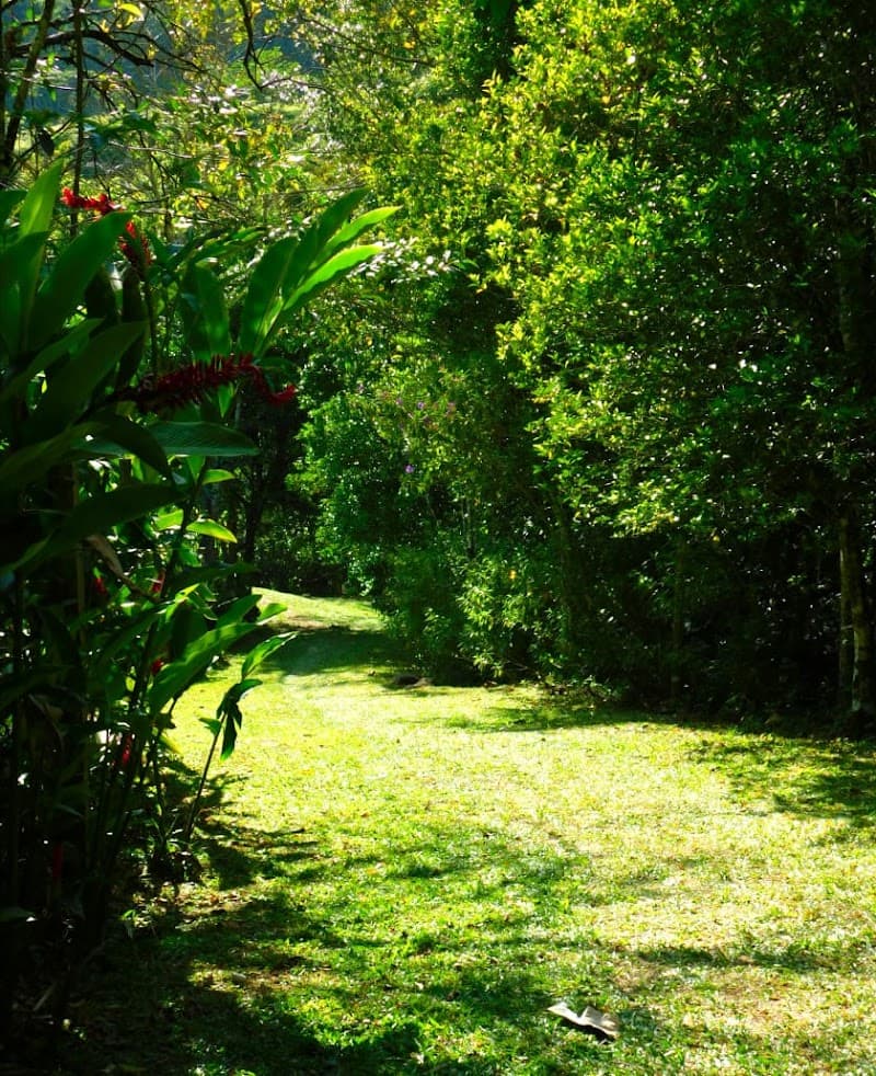 Balneario La Vega Taulabé photo