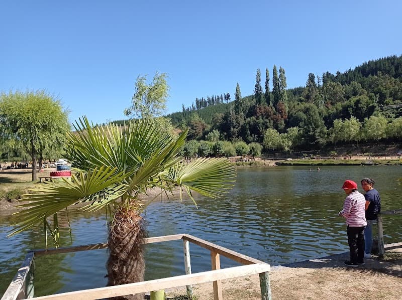 Balneario Municipal De Curanilahue photo