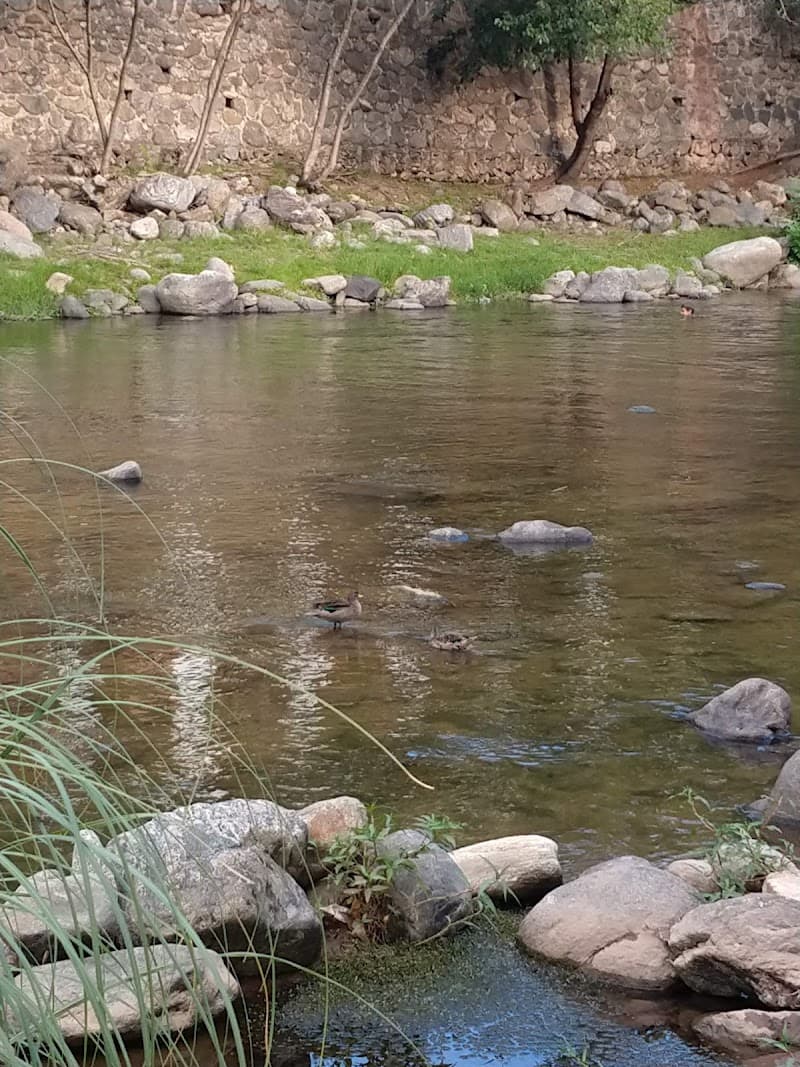 Balneario Puente Colgante Santa Rosa de Calamuchita photo