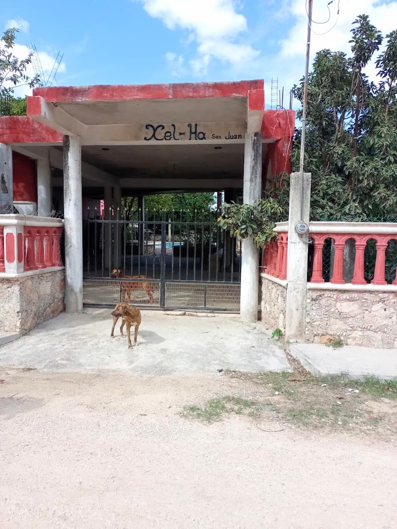 Balneario Xel-Ha San Juan. Mérida photo