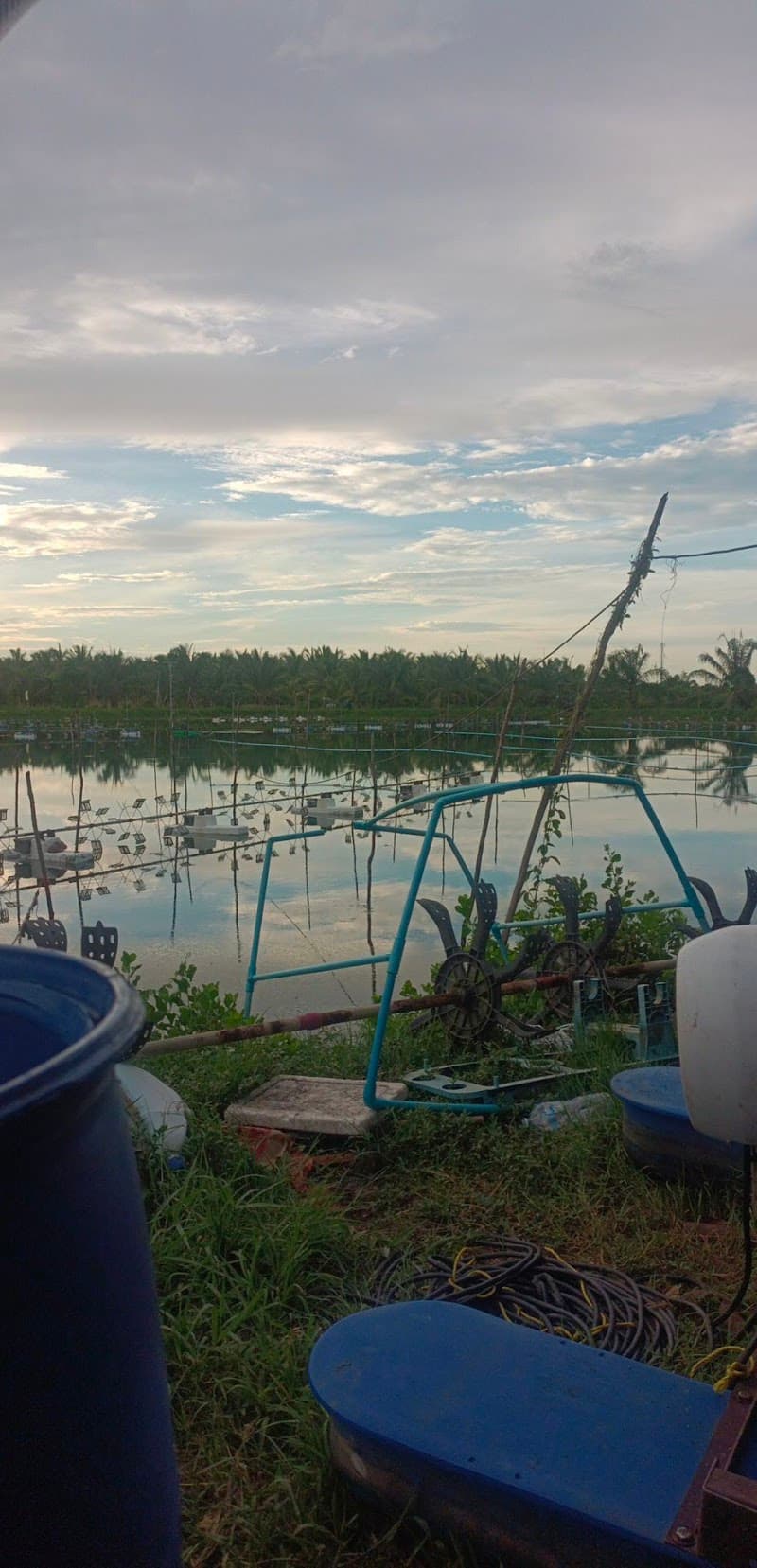 Ban Bang Wang School Nakhon Si Thammarat photo