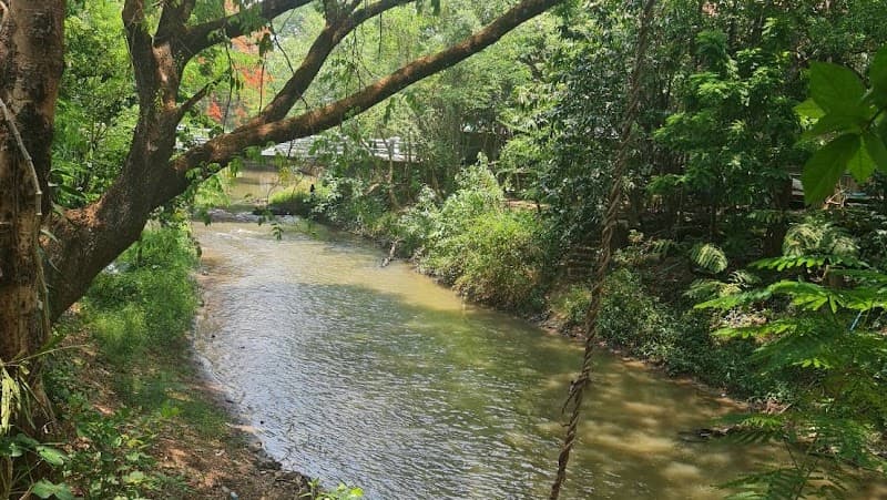 Ban Nuad Thai Hom Sai Chiang Mai photo