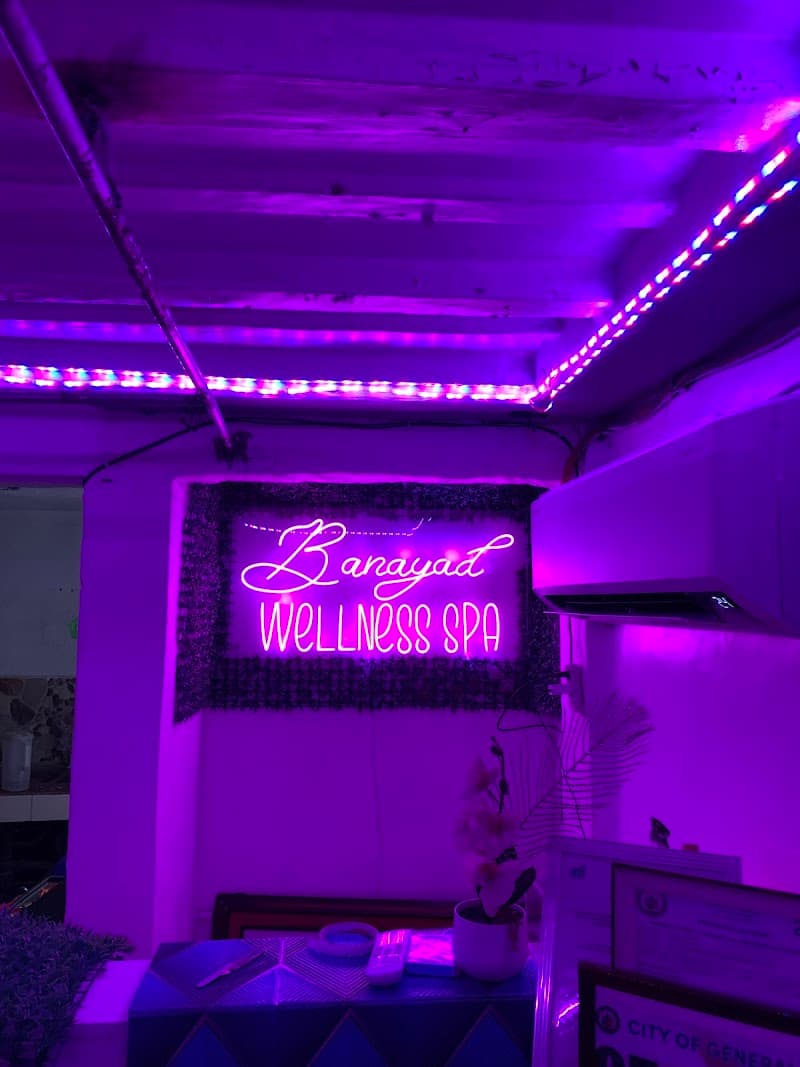 Banayad Wellness Spa General Trias photo