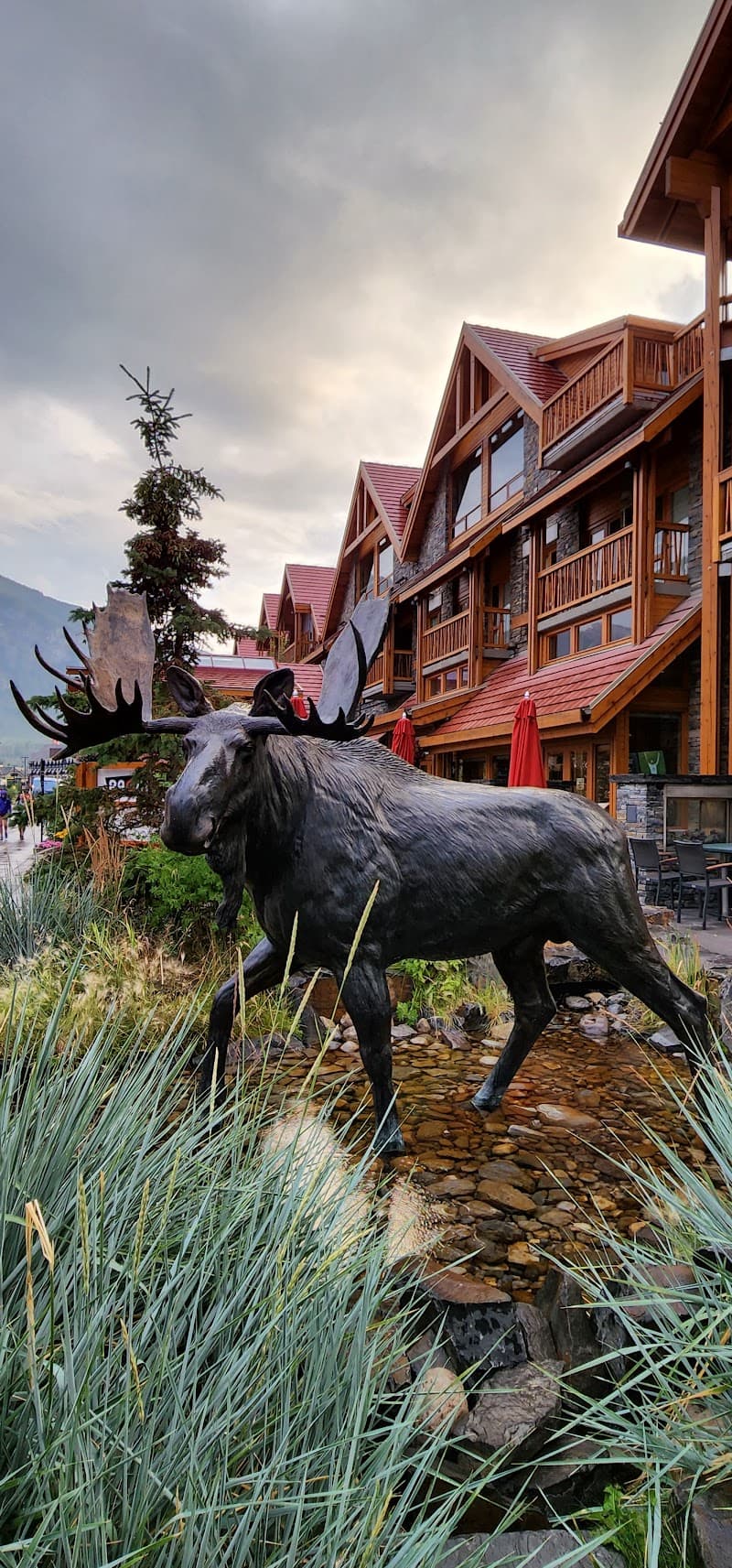 Banff National Park photo