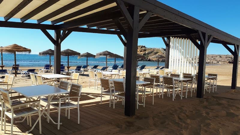 Bangalore Vilafranca del Penedès photo