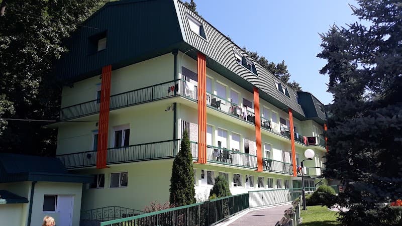 Banja Gornja Trepca Pansion Izvori Čačak photo