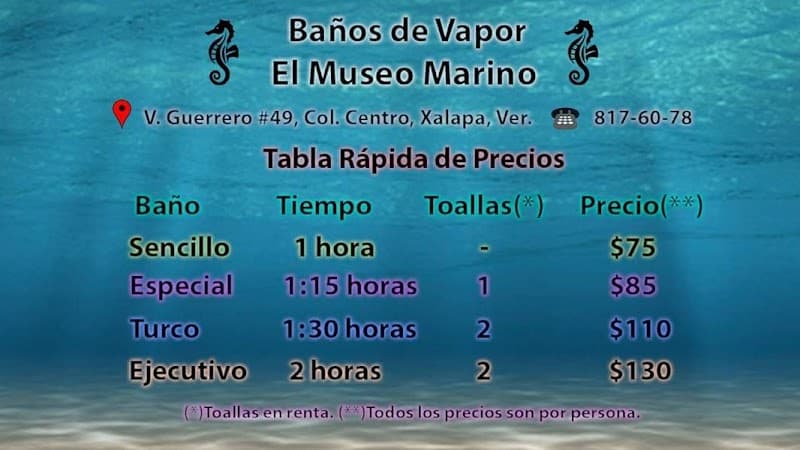 Baños de Vapor El Museo Marino Xalapa de Enríquez photo