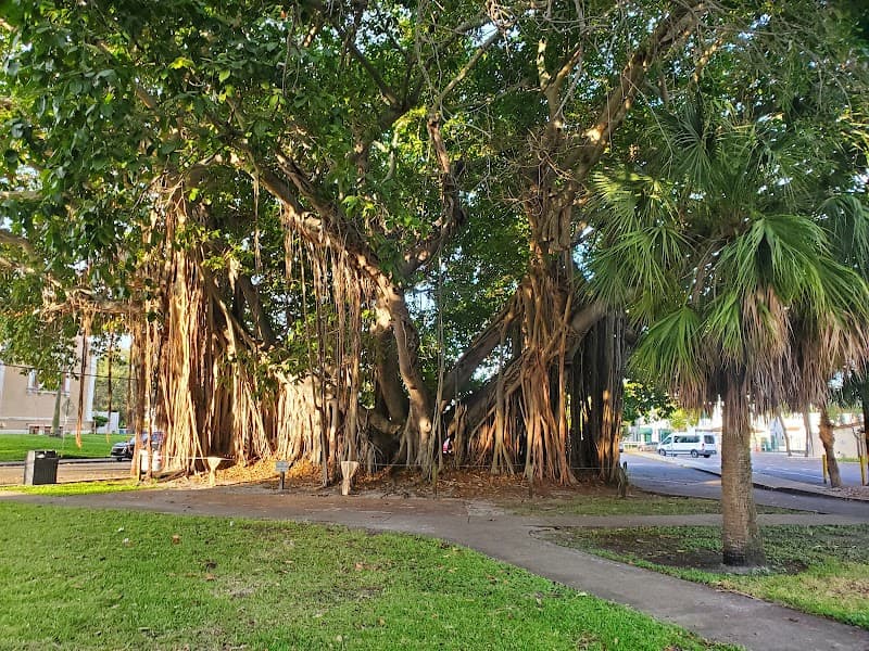 Banyan-Tree Saint Petersburg photo