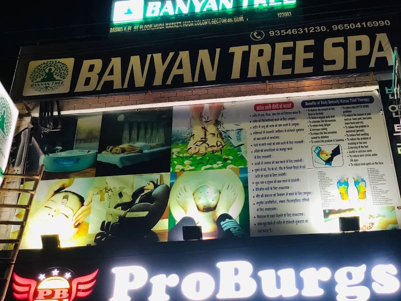 Banyan Tree Spa Delhi photo