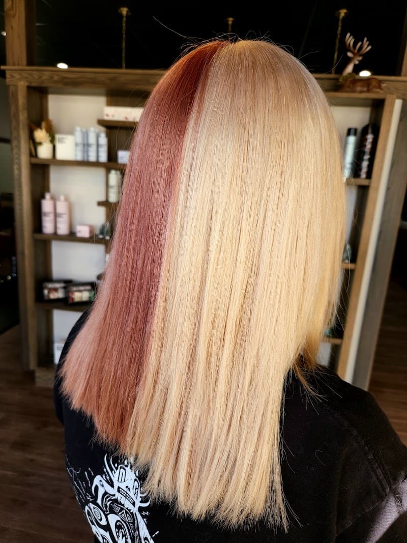 Bare Roots Salon & Spa Andover photo