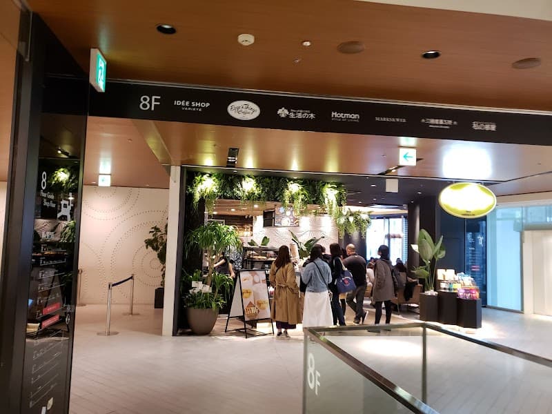 Bear Hug Kashiwa Takashimaya Station Mall Store Kashiwa City photo