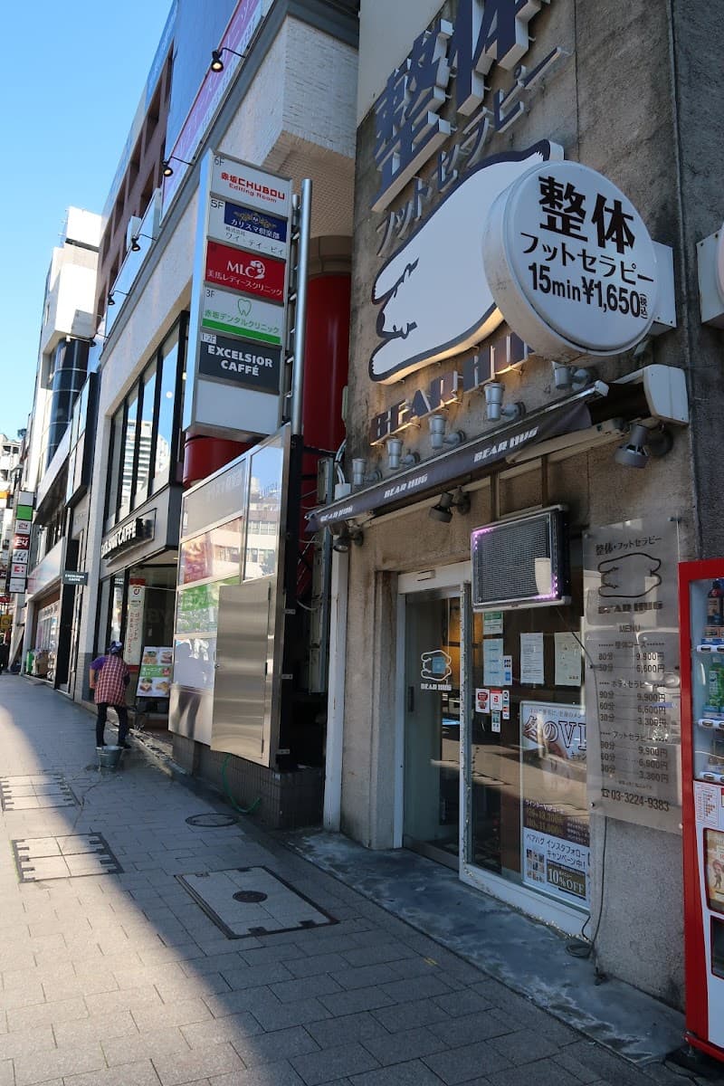 Bear Hug Tameike Sanno Store Minato Ward photo