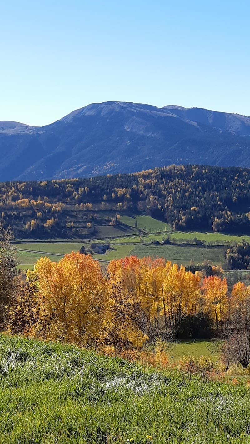 Béatrice Latil Massages Ayurvédiques Aix-en-Provence photo