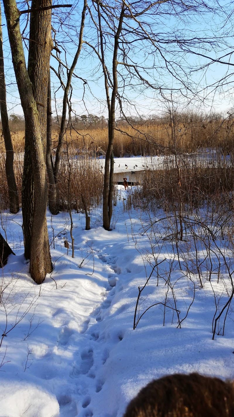Beauty Garden Ronkonkoma photo