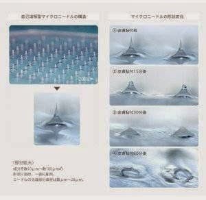 Beauty Heart Room Kobe City Suma Ward photo