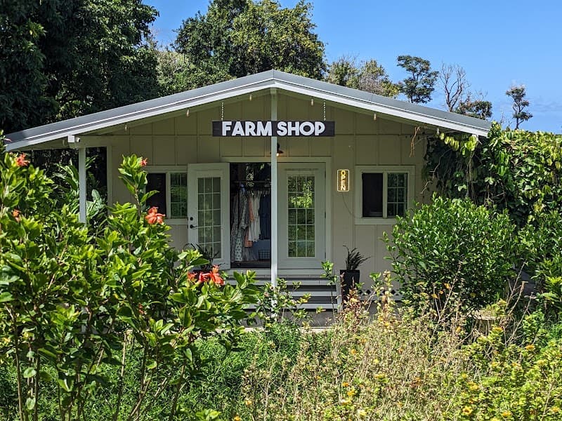 Beauty Of Aloha Lahaina photo