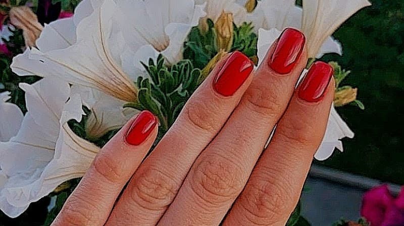 Beauty Salon and Wellness Center Tanja Zagreb photo